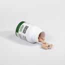 Cordyceps Mushroom-2