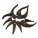 Mountain Goat Horn Dog Chews-10 Count-10 oz (WSP)-1