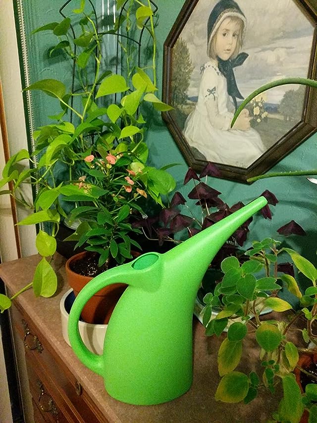 Kool Products 1/2 Gallon Plant Watering Can Indoor Watering Pot-12