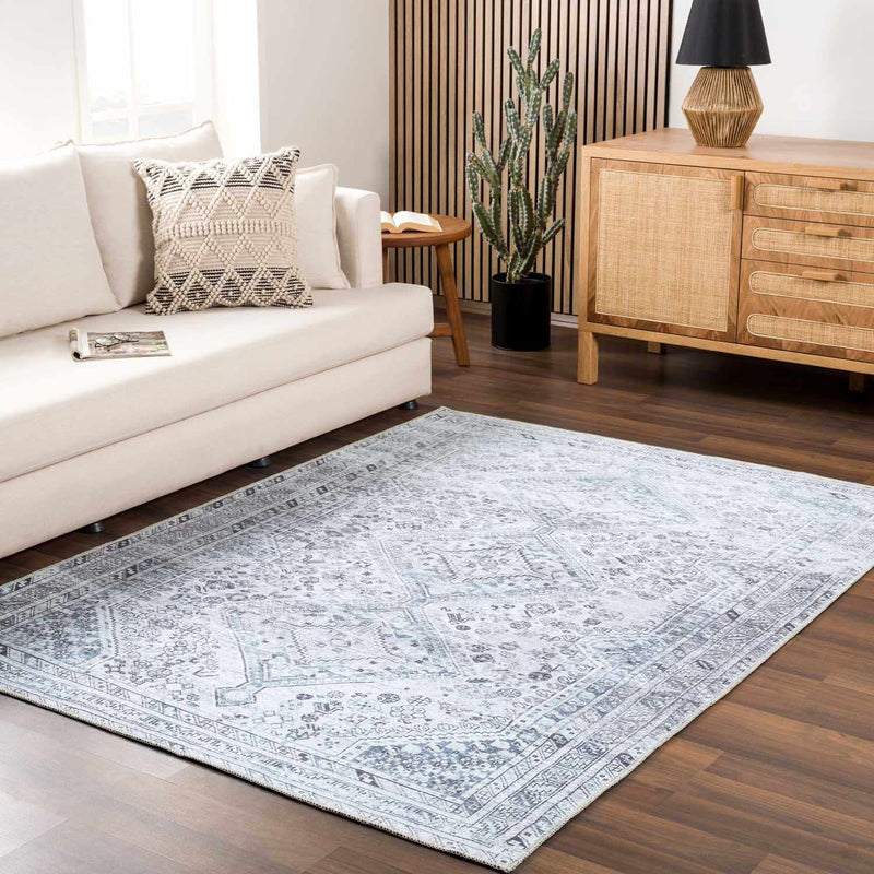 Barny Gray Washable Area Rug-2