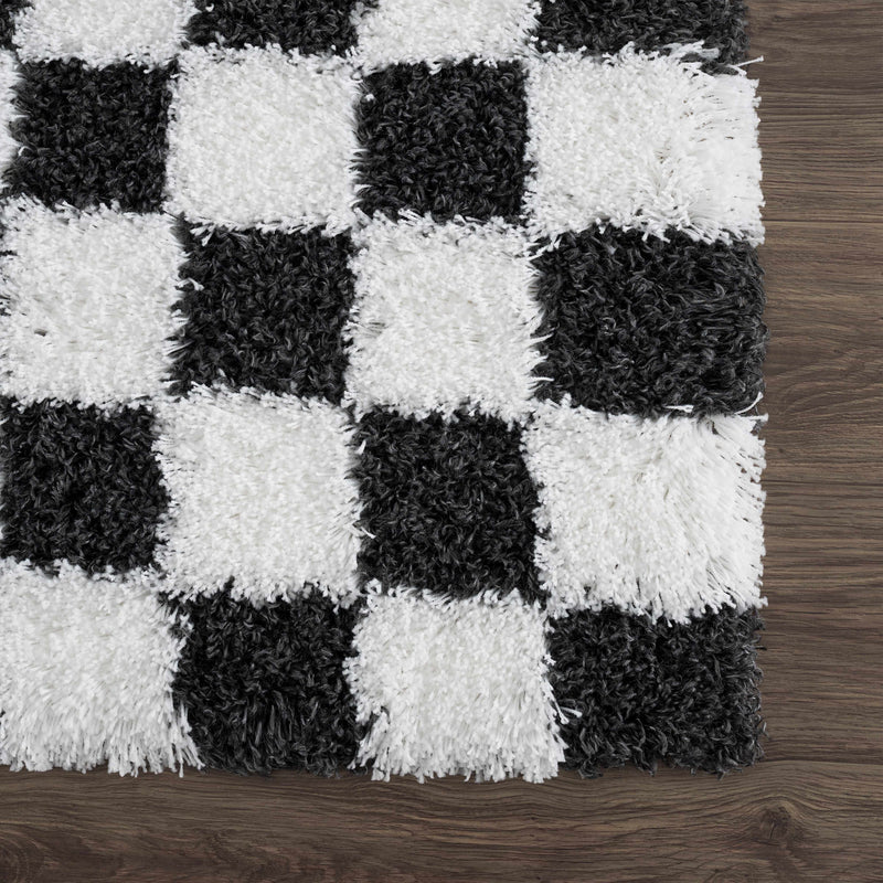 Sample Atira Black & White Checkered Area Rug-0