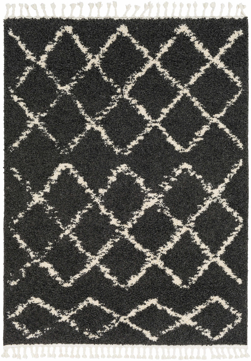 Sample Ayden Area Rug-0