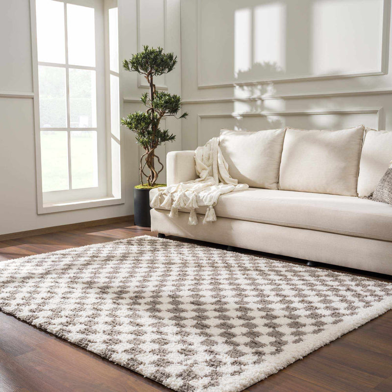 Kieu Taupe Checkered Plush Rug-0