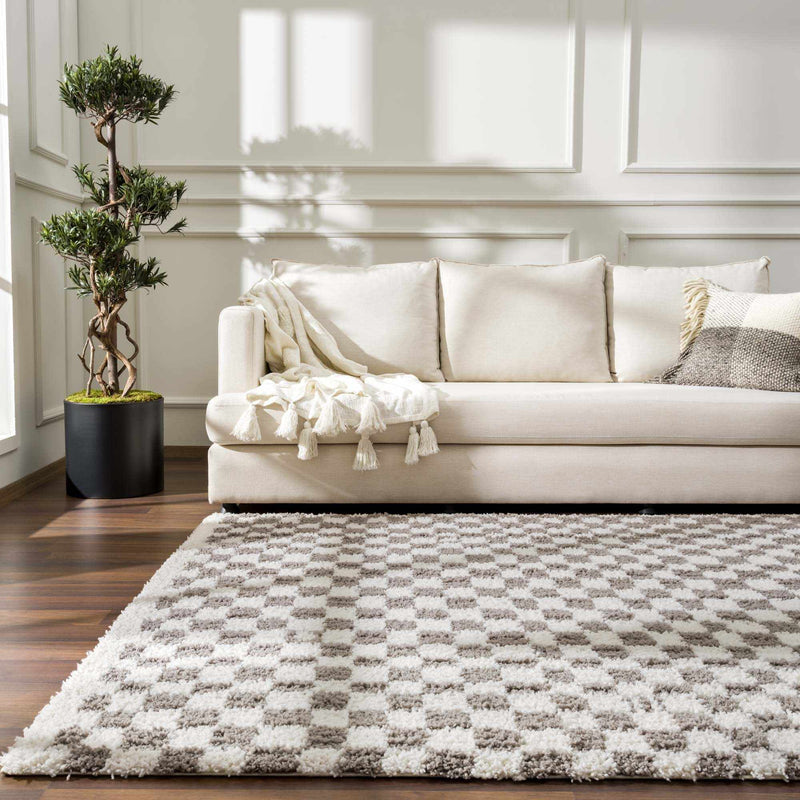 Kieu Taupe Checkered Plush Rug-5