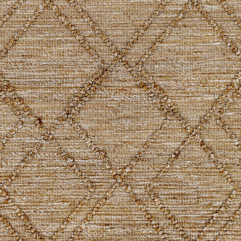 Sample Buse Hand Woven Beige Area Rug-0