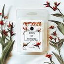 Birds of Paradise Wax Melt 3 PACK-0