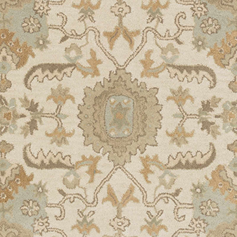 Sample Carrolltown Area Rug-0