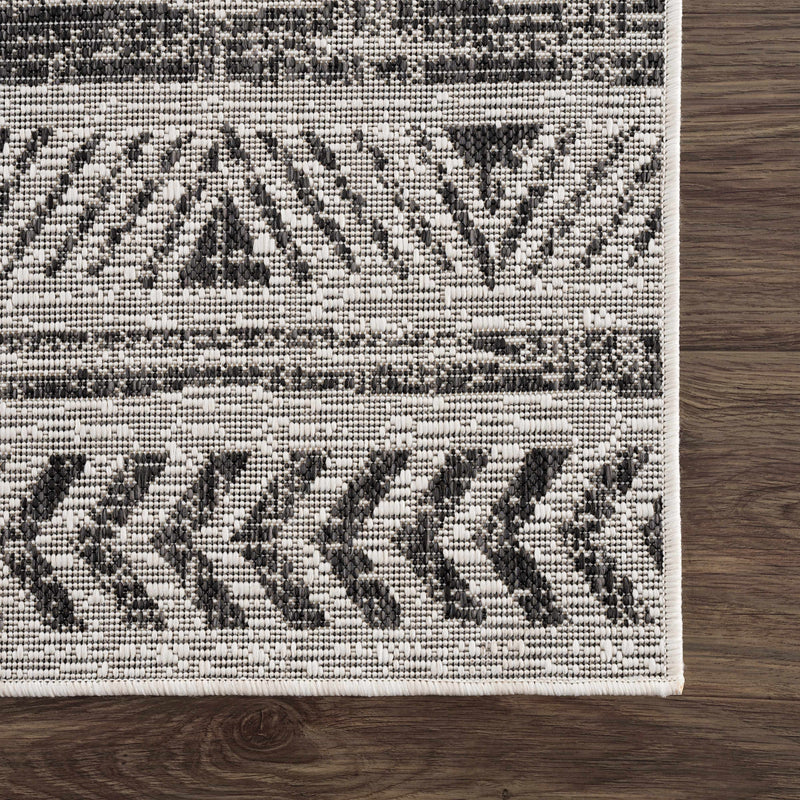 Sample Catrine Indoor & Outdoor Rug-0