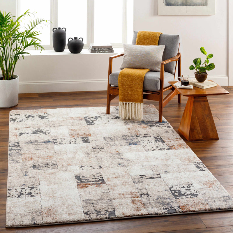 Sample Chitt Area Rug-0