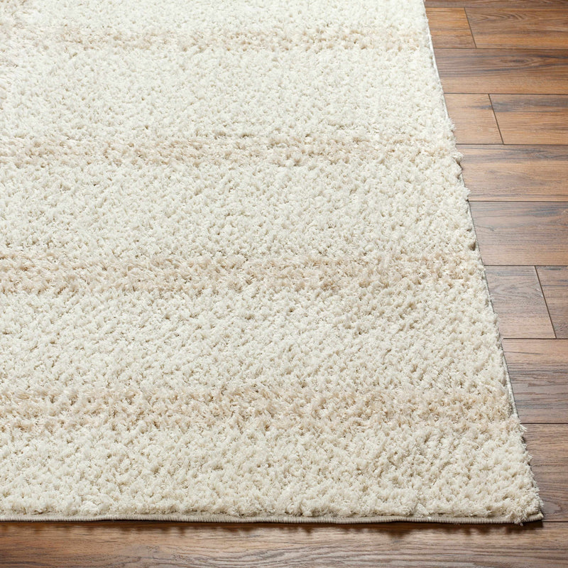 Sample Cong Area Rug-0