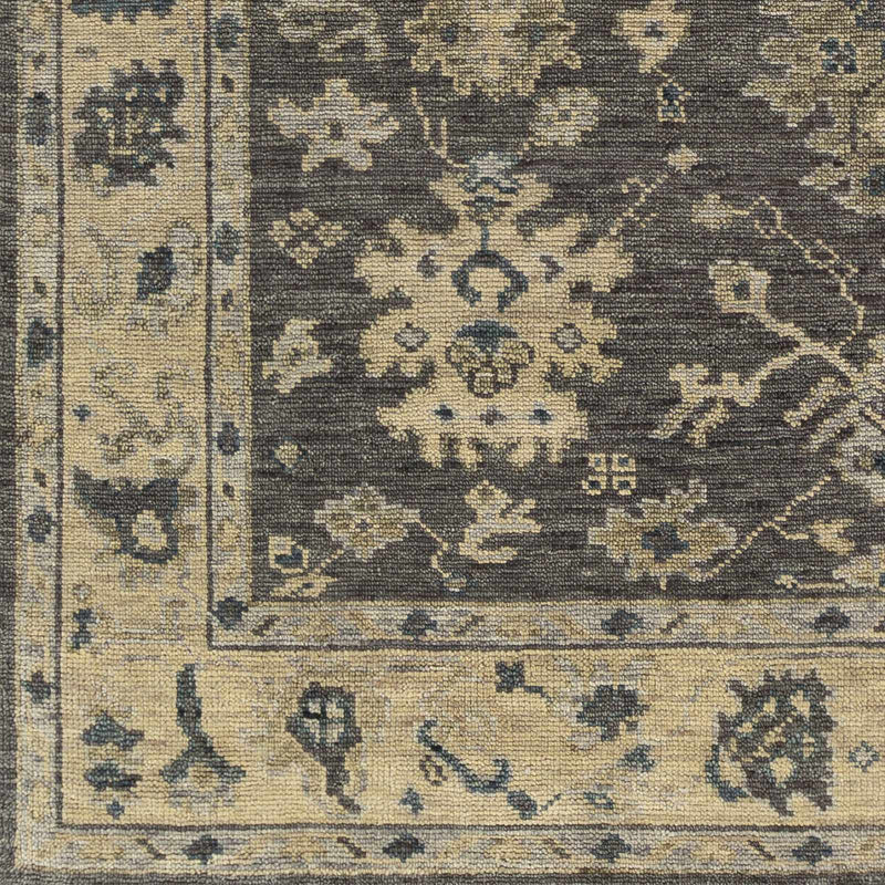 Sample Cooter Area Rug-0