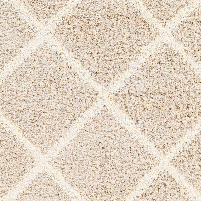 Sample Dacre Shag Area Rug-0