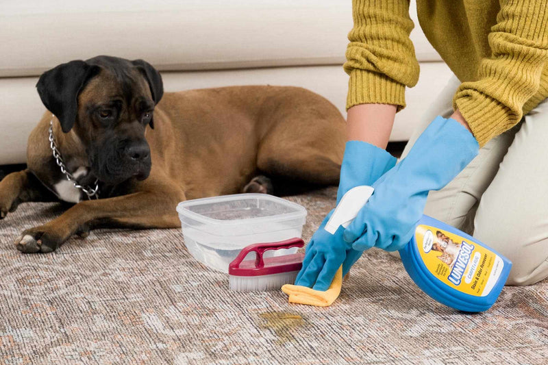 Pet Stain&Odor Remover-4