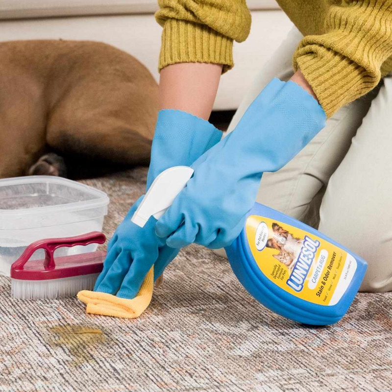 Pet Stain&Odor Remover-0