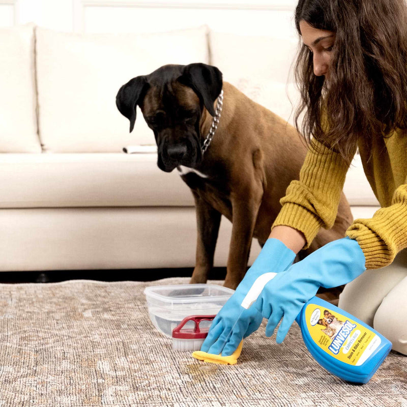 Pet Stain&Odor Remover-3