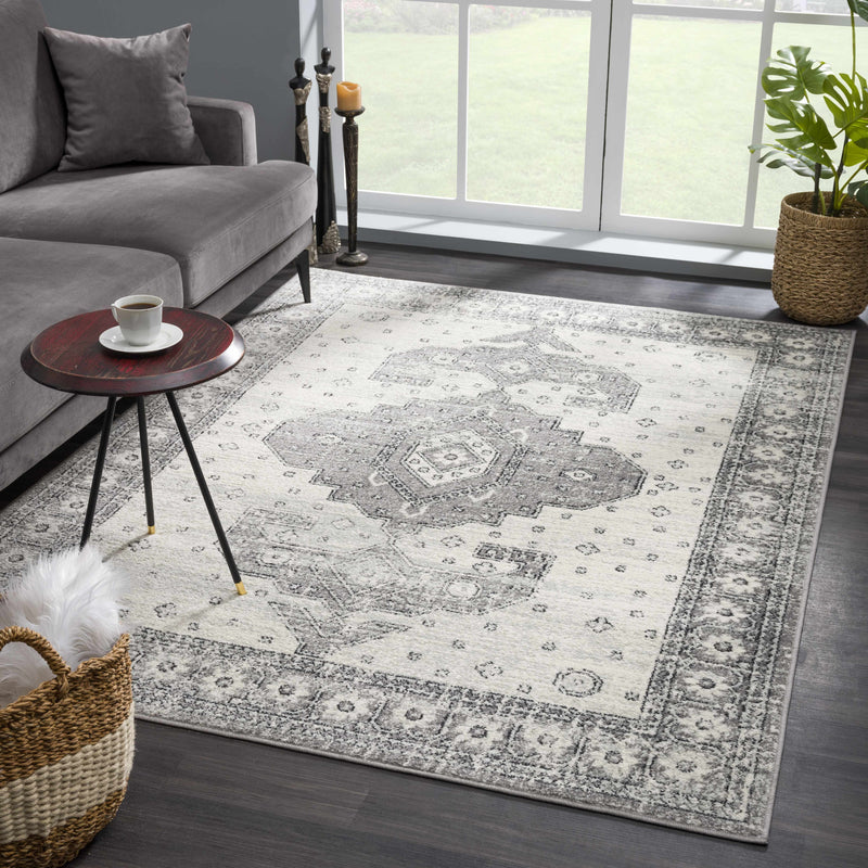 Marash 4605 Gray Area Carpet - Clearance-3