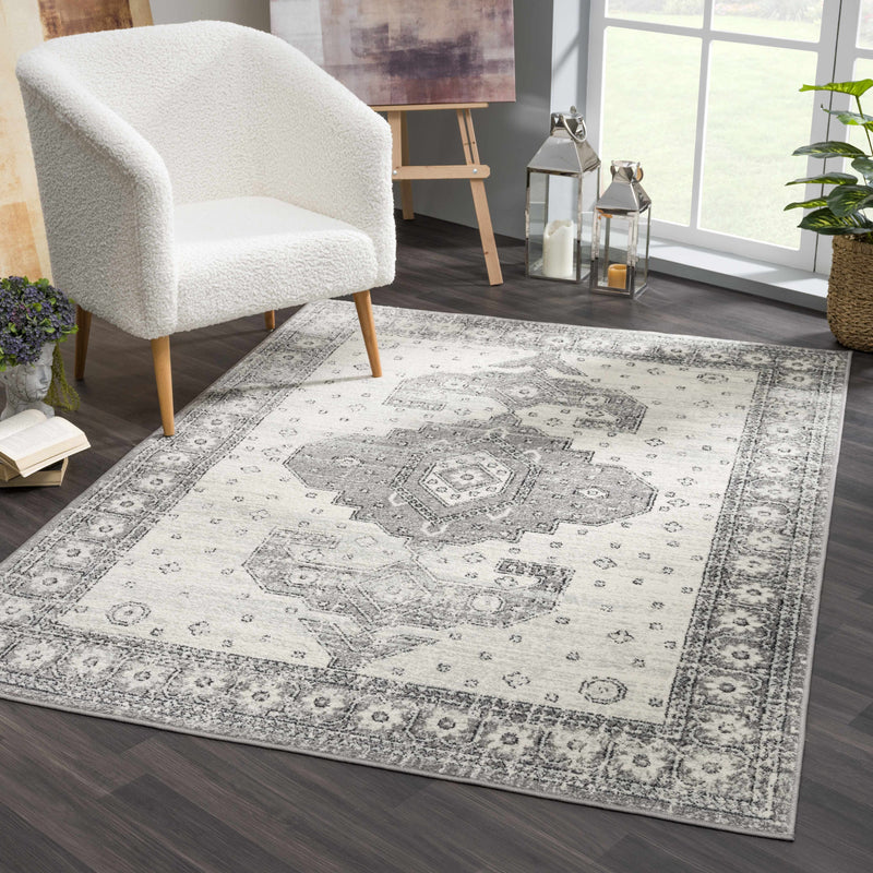 Marash 4605 Gray Area Carpet - Clearance-1