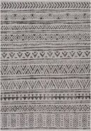 Catrine Indoor & Outdoor Rug-1