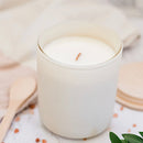 Hampton Beach Relaxing Candle Scents of Lemon Marine Air and Sea Greens-0