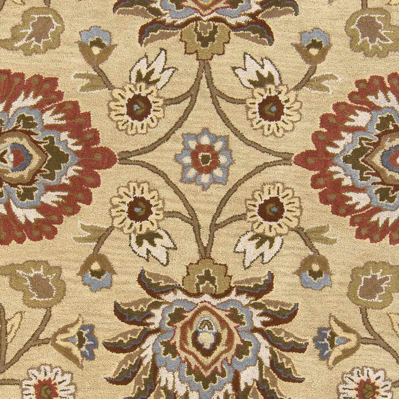 Sample Conesus Hand Tufted Beige & Rust 1116 Area Rug-0