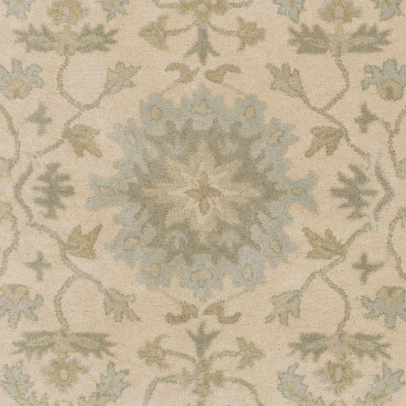 Sample Hazen Hand Tufted Light Beige 1197 Area Rug-0