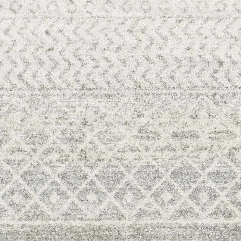 Sample Constantin Gray Area Rug-0