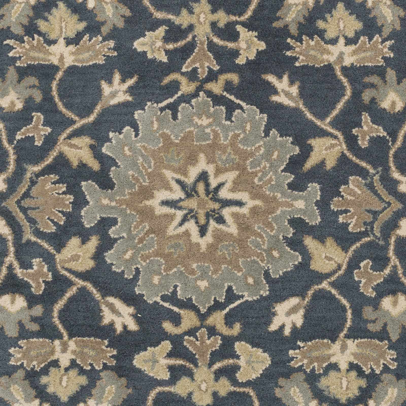 Sample Hazen Hand Tufted Navy 1154 Area Rug-0