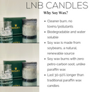 GUILT Luxury Candle Scent Inspired By Guilty-2