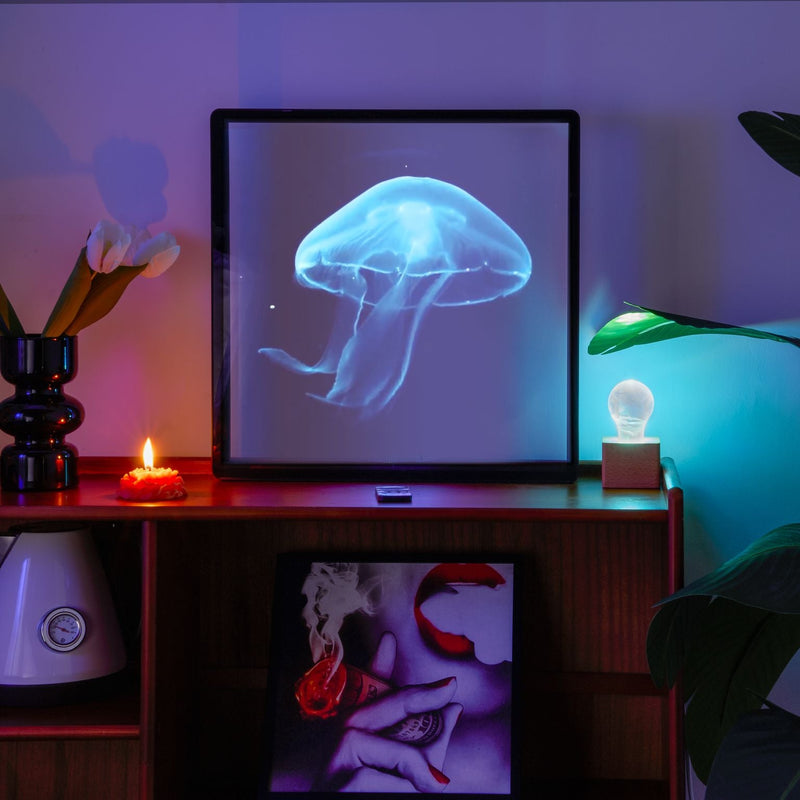 3D Hologram LED Fan With Frame Supports APP & Bluetooth Connectivity-2