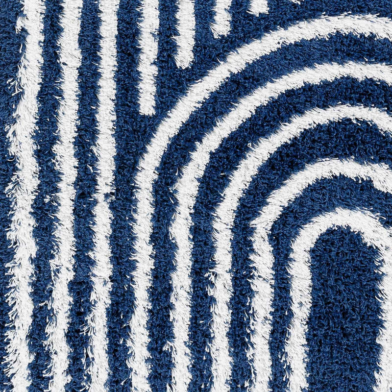 Sample Libe Shag Area Rug-0