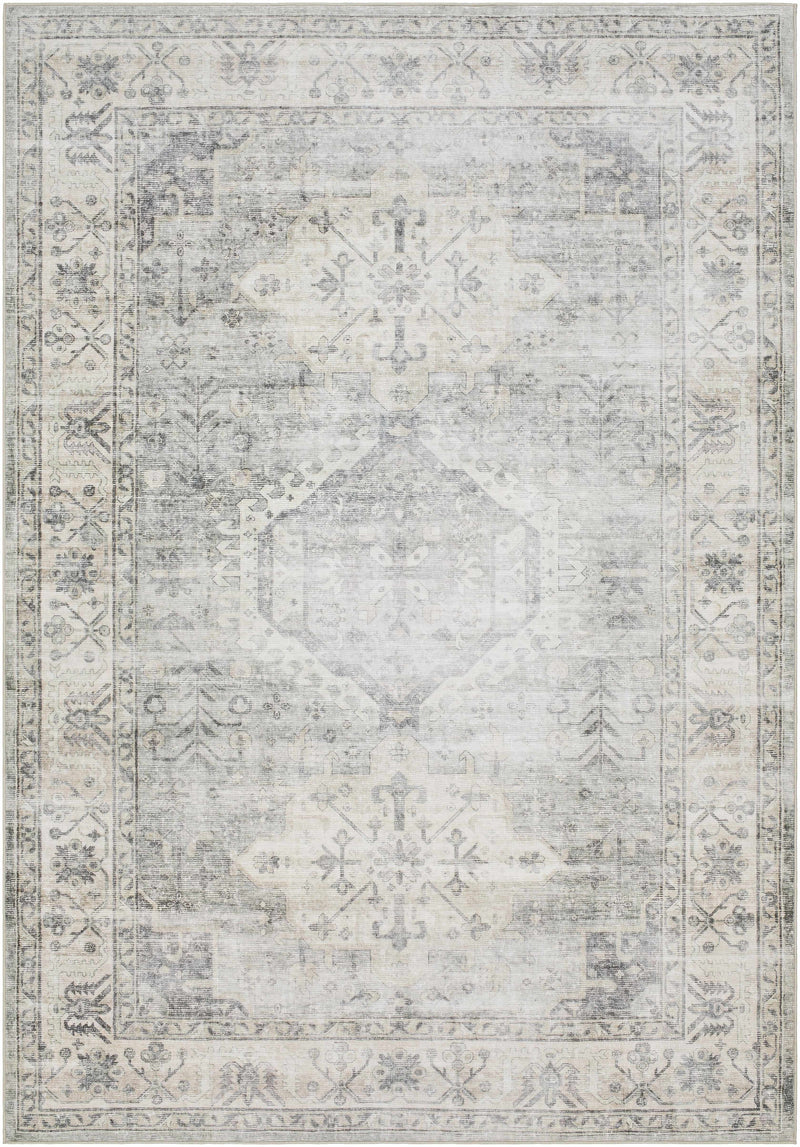 Sample Laran Sage Distressed Washable Area Rug-0