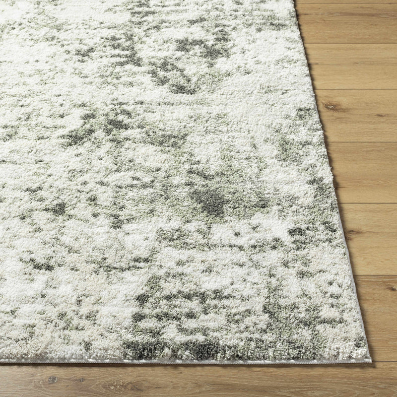 Sample Nasim Area Rug-0
