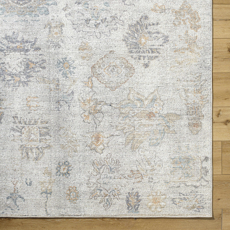 Sample Olympic 2302 Damask Light Brown Rug - ourpnwhome x Livabliss-0
