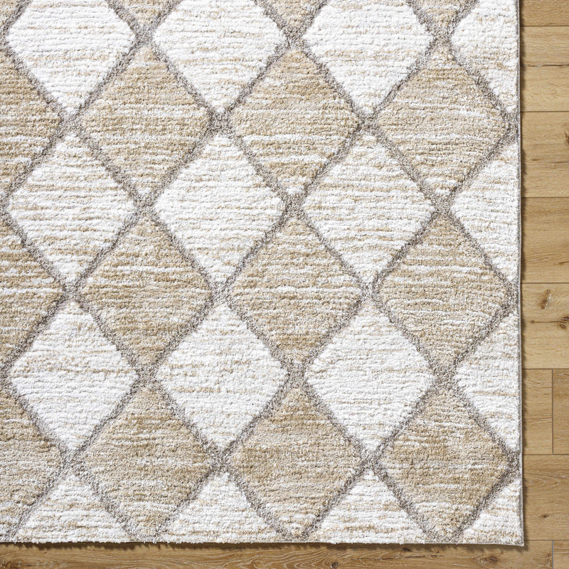 Sample Aideen Area Rug-0