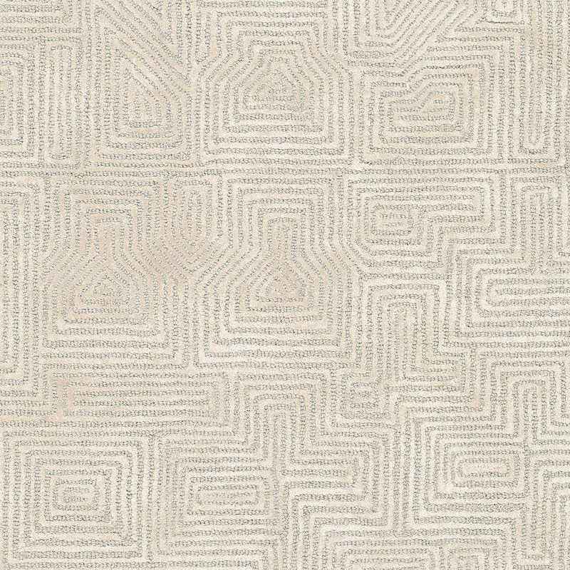 Sample Gray Hawa Area Rug-0