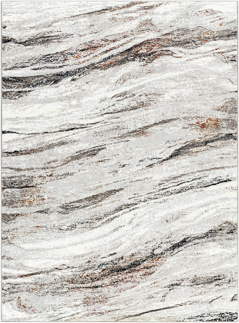 Sample Glain Gray & Brown Marble Area Rug-0