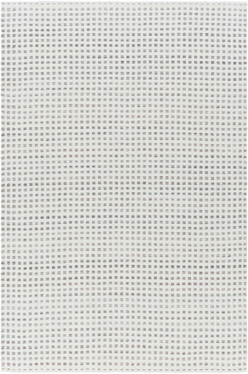 Sample Bence Cream & Gray Area Rug-0