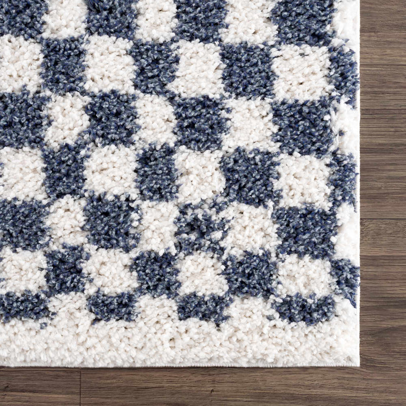 Sample Kieu Blue & White Checkered Area Rug-0