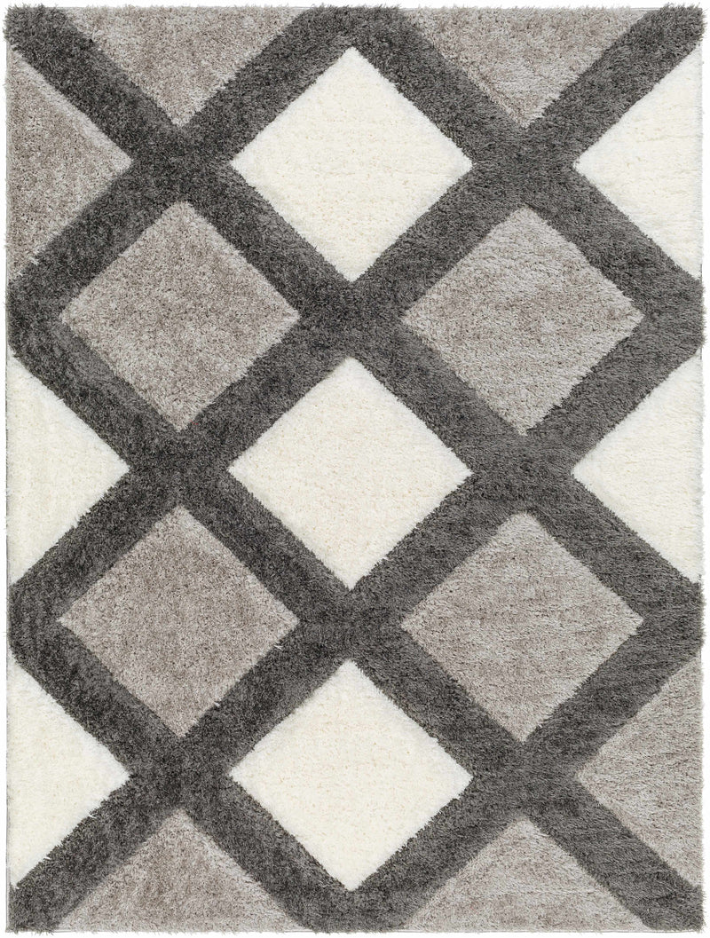 Sample Amias Gray Area Rug-0