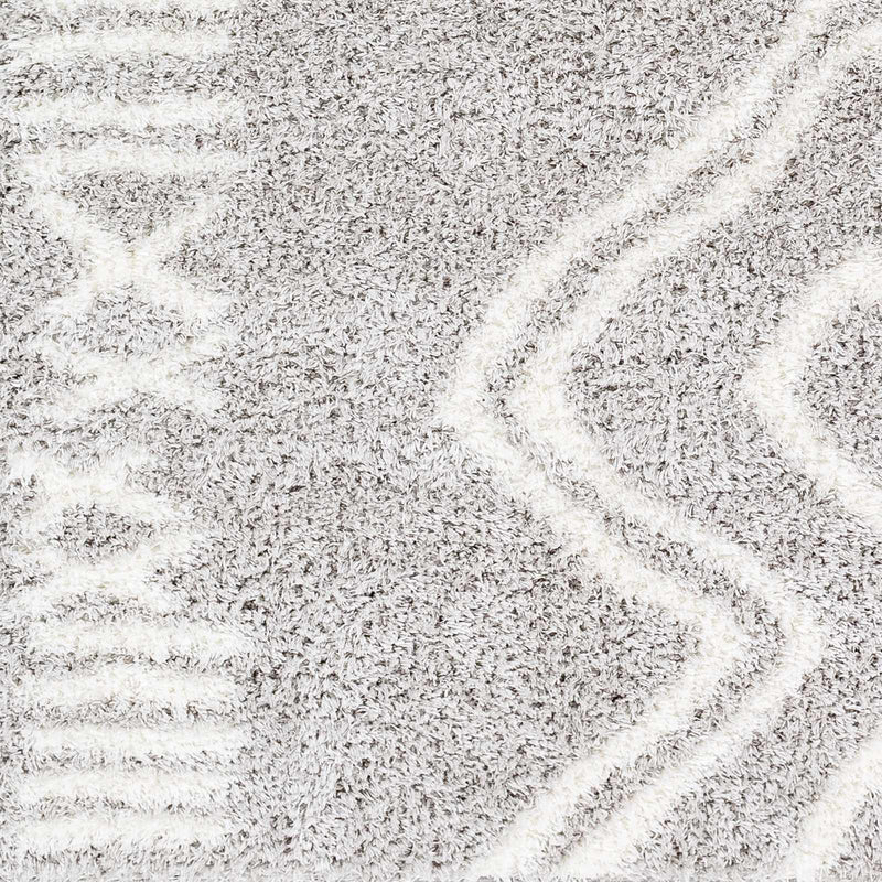 Sample Asael Gray Area Rug-0