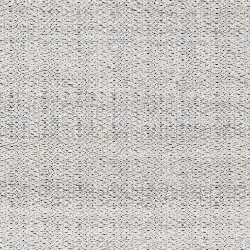 Sample Light Gray Anane Area Rug-0