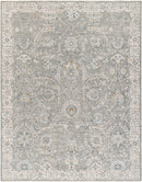 Sample Gauge Gray Blue Area Rug-0