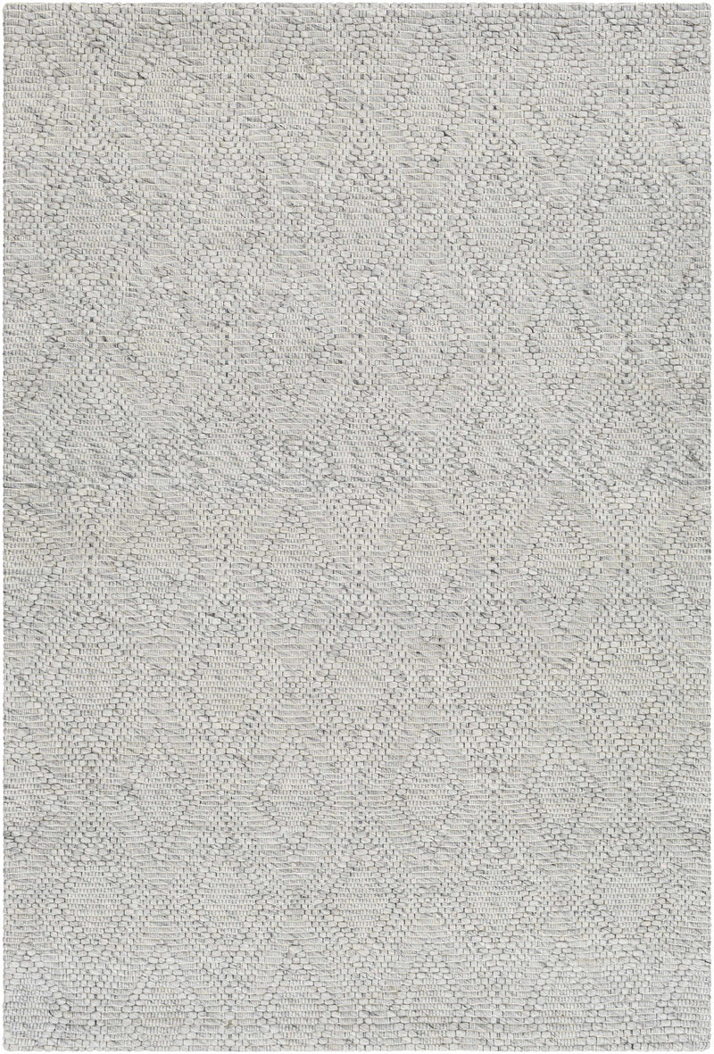 Sample Kasib Gray Hand Woven Area Rug-0