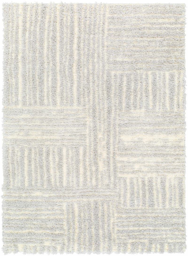 Sample Arich Gray Plush Area Rug-0