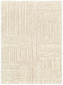 Sample Arich Beige Plush Area Rug-0