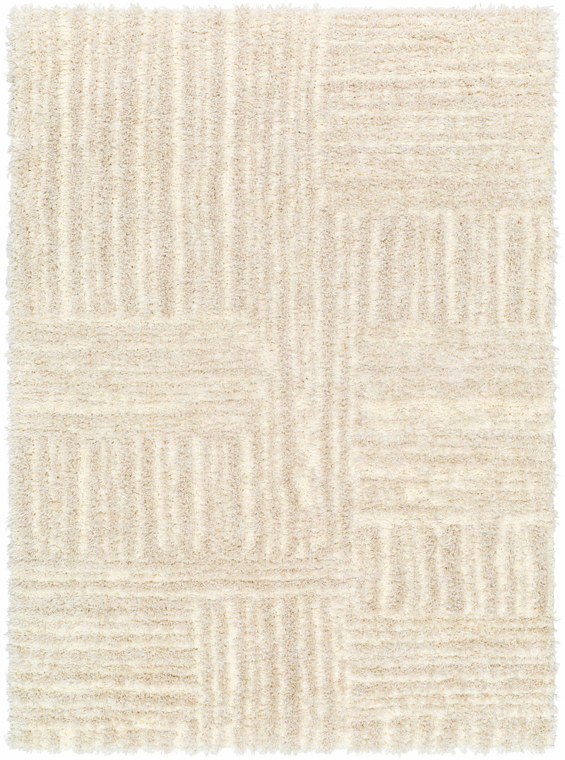 Sample Arich Beige Plush Area Rug-0