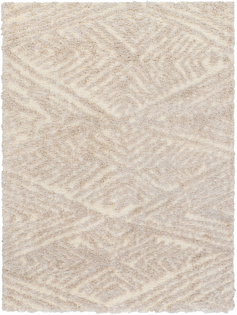 Sample Aysun Beige Plush Area Rug-0