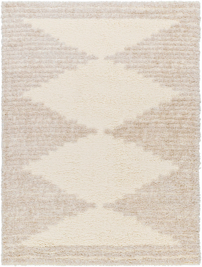 Sample Bayan Beige Plush Area Rug-0