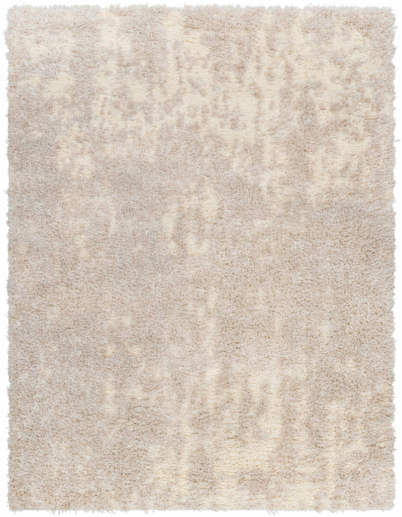 Sample Edzia Beige Plush Area Rug-0