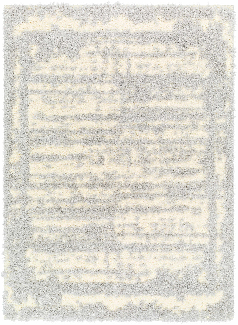 Sample Gidja Gray Plush Area Rug-0